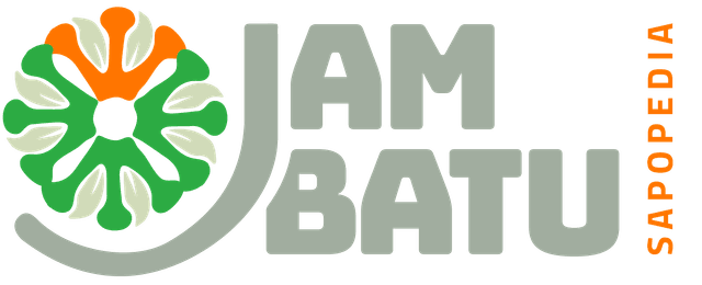 Sapopedia Jambatu