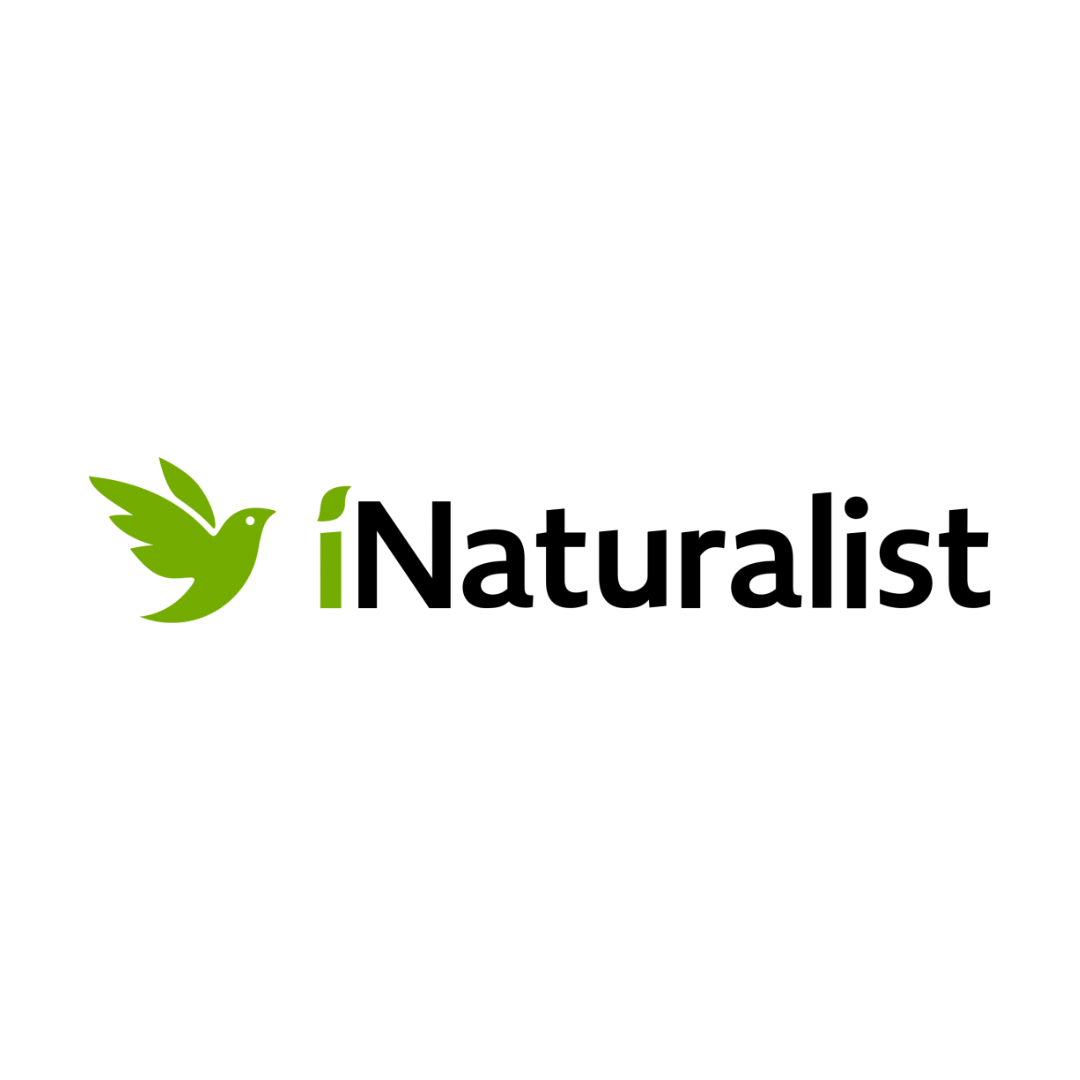 iNaturalist Logo
