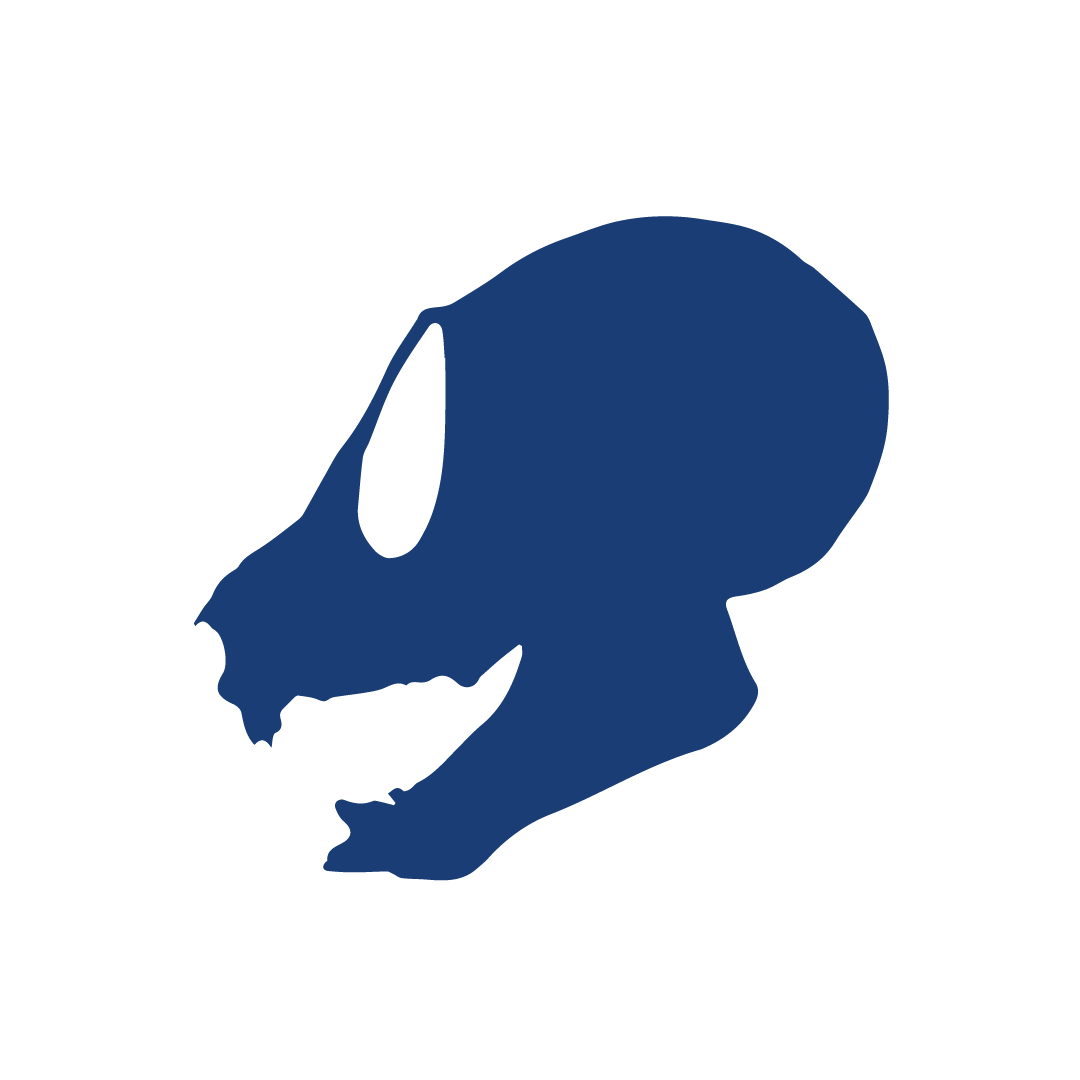 MorphoSource Logo